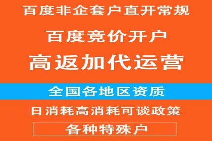 深度解析百度推广代运营公司的成功策略与技巧